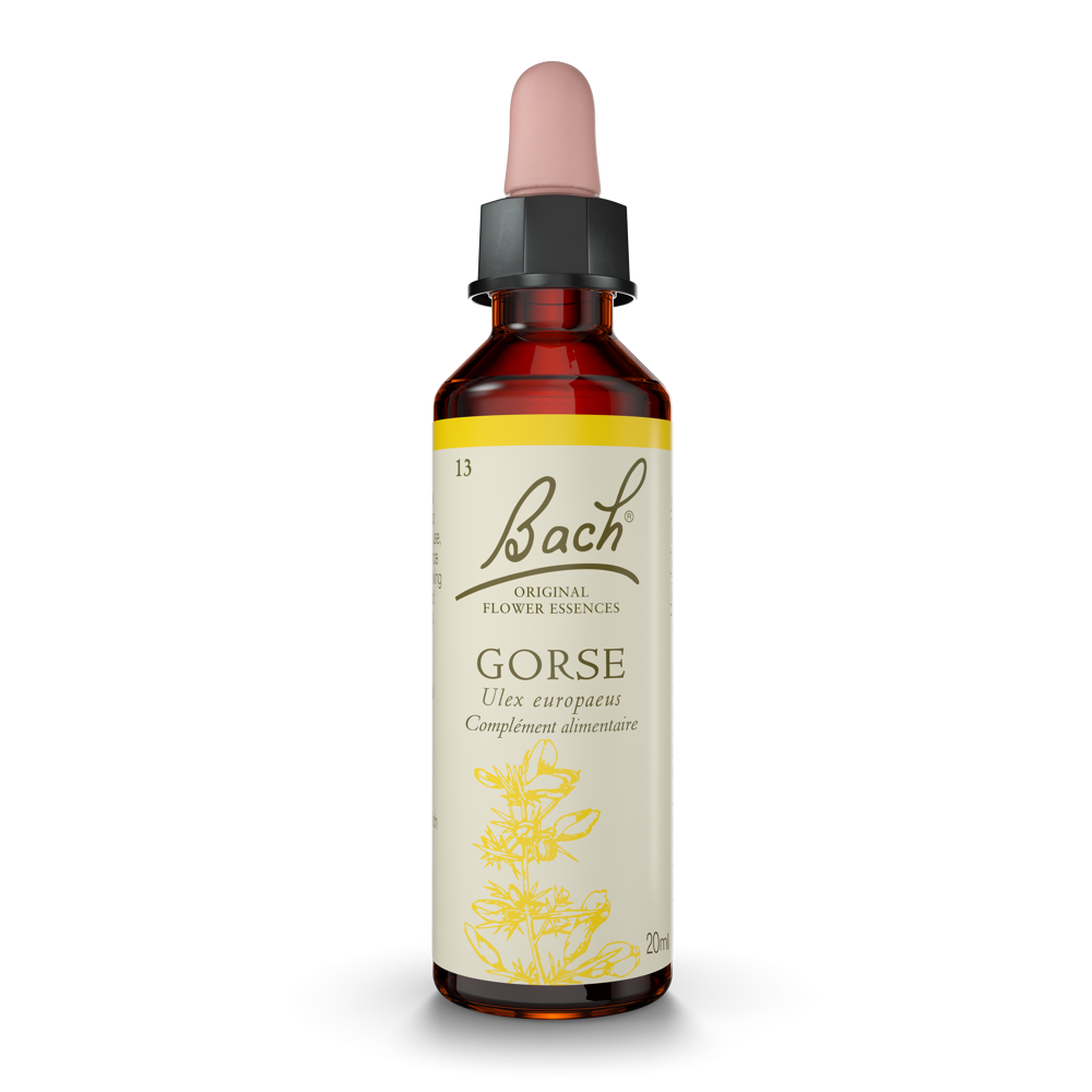 Fleur de Bach® Original Gorse 20ml