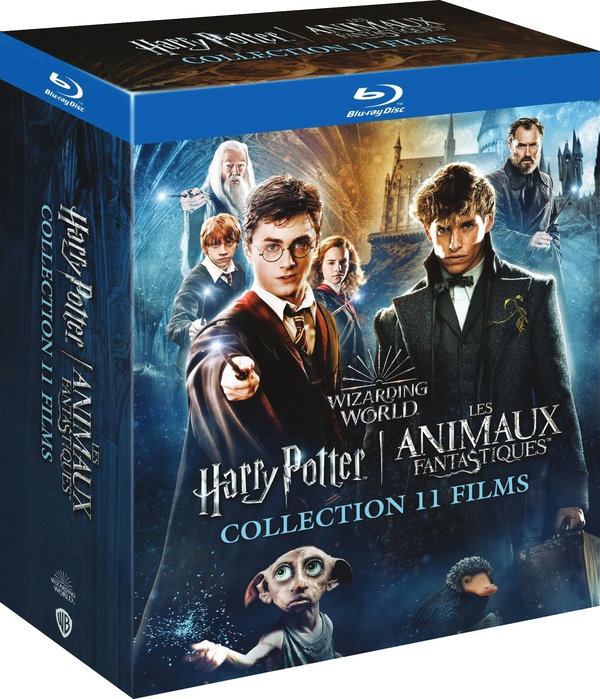 Wizarding World : Harry Potter 1 à 7.2 + Les animaux fantastiques 1 à 3