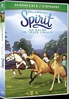 coffret Spirit, saisons 5 et 6, 13 épisodes