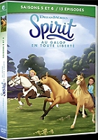 coffret Spirit, saisons 5 et 6, 13 épisodes