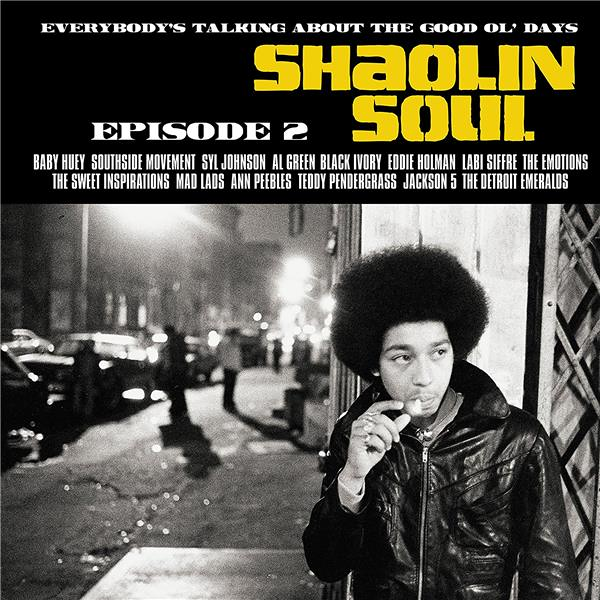 Shaolin soul 2