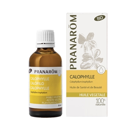 Huile végétale calophylle bio 50ml