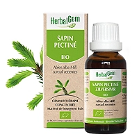 Sapin pectiné bio 30 ml