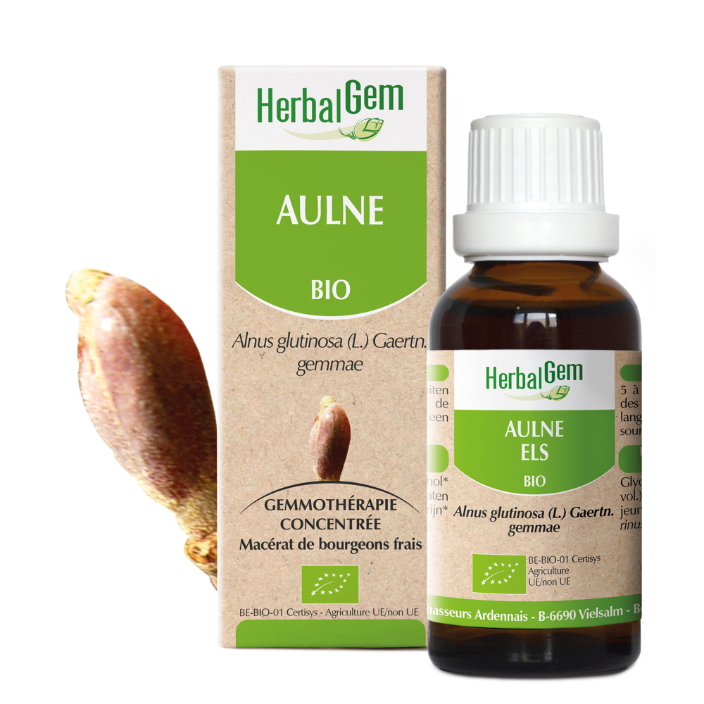 Aulne bio 30 ml