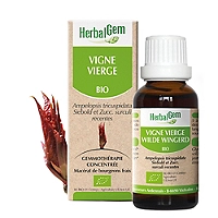 Vigne vierge bio 30 ml