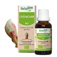 Châtaignier bio 30 ml