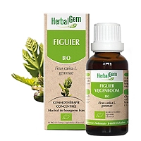 Figuier bio 30 ml