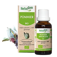 Pommier bio 30 ml