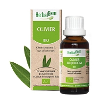 Olivier bio 30 ml