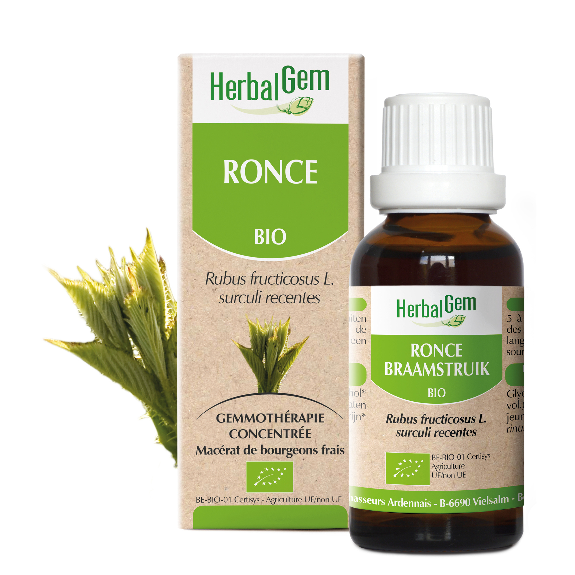 Ronce bio 30 ml