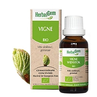 Vigne bio 30 ml