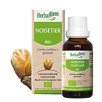 Noisetier bio 30 ml