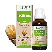Noisetier bio 30 ml