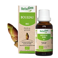 Bouleau bio 30 ml