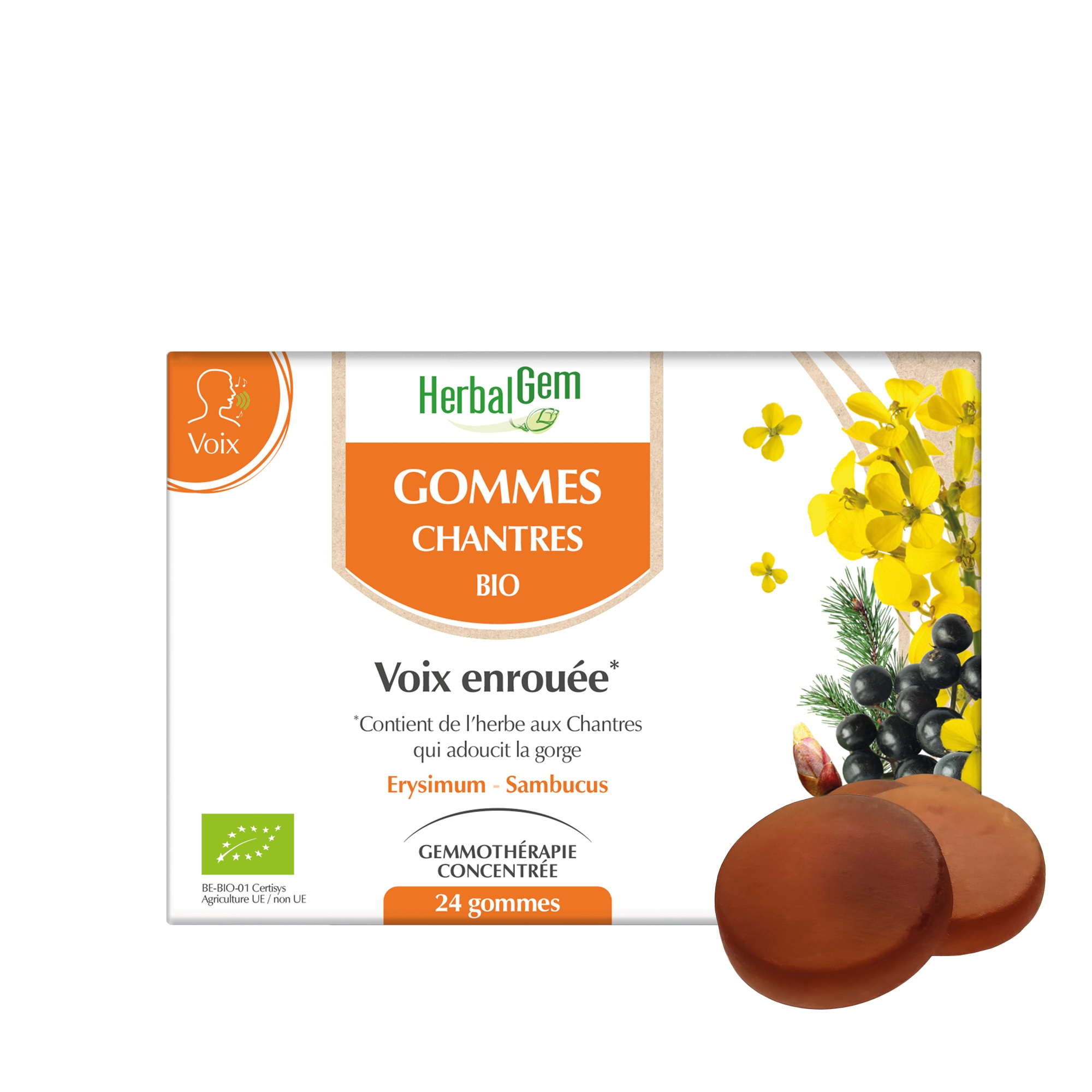 Chantres gommes bio 24ml