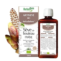 Artiseve bio 250 ml