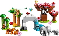 LEGO® DUPLO® Ma ville - Animaux sauvages d’Asie - 10974