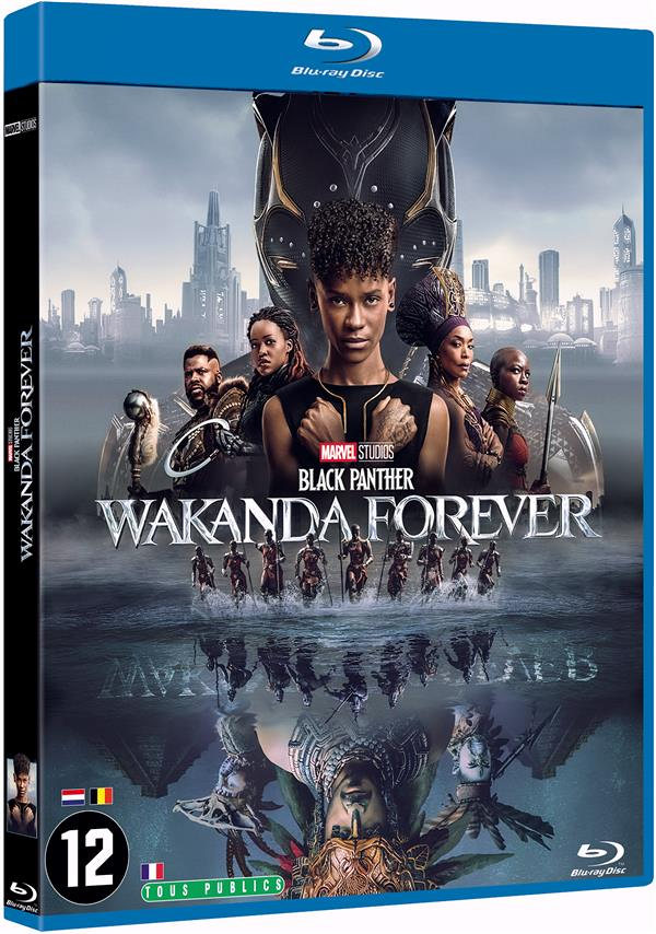 Black Panther 2 : Wakanda Forever