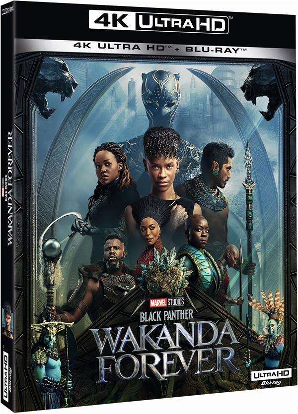 Black Panther 2 : Wakanda Forever