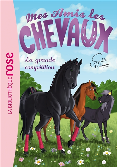 Mes amis les chevaux 02 - La grande compétition (Poche)
