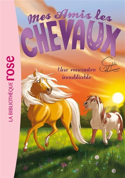 Mes amis les chevaux 06 - Une rencontre inoubliable (Poche)