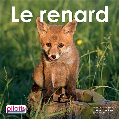 Lecture CP - Collection Pilotis - Le Renard - Album - Edition 2019 (Broché)