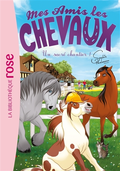 Mes amis les chevaux 31 - Un sacré chantier ! (Poche)