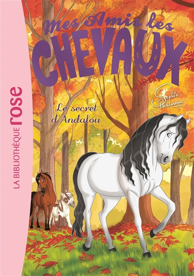 Mes amis les chevaux 19 - Le secret d'Andalou (Poche)