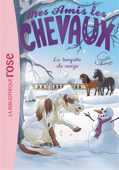 Mes amis les chevaux 25 - La Tempête de neige (Poche)