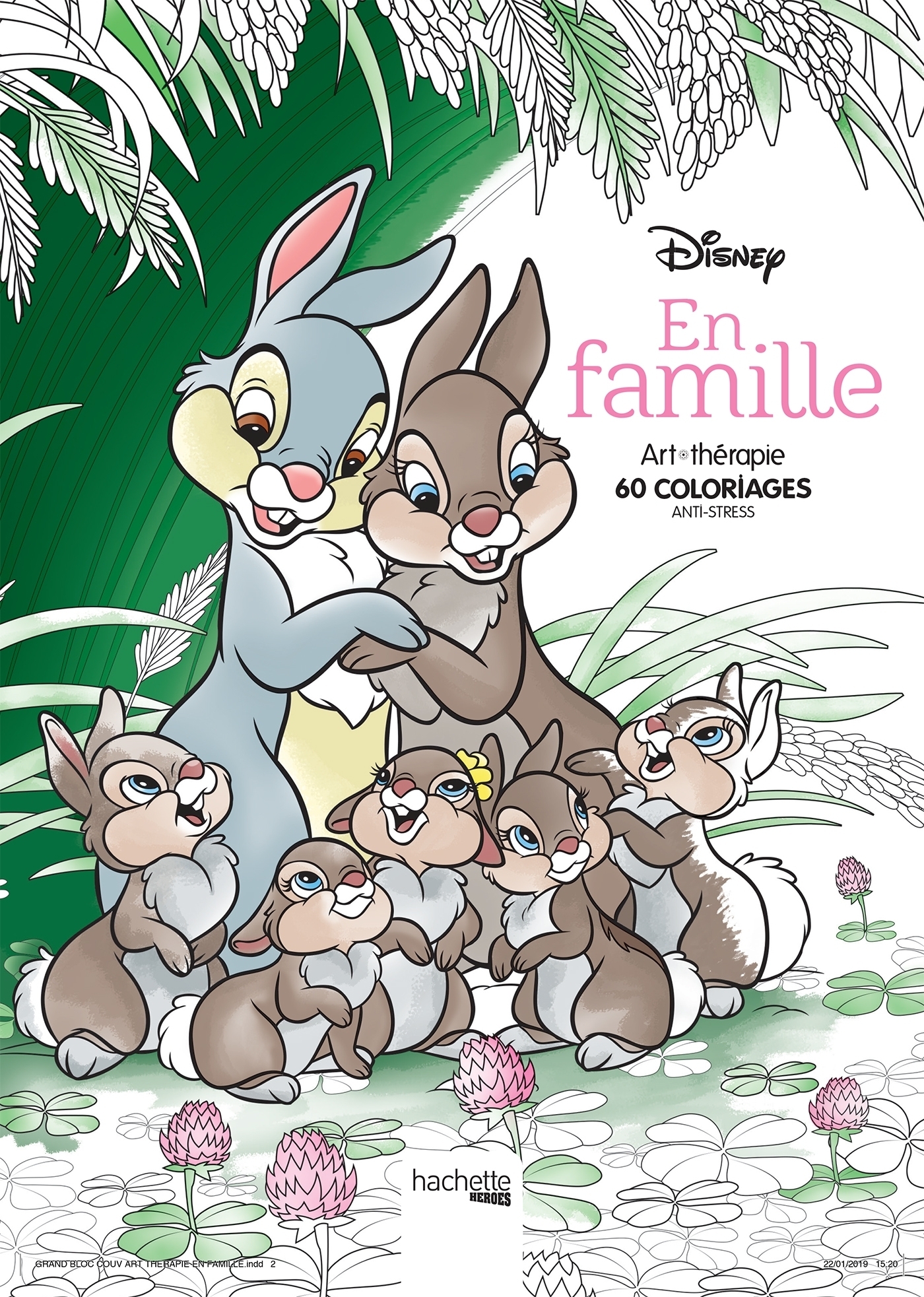 Disney En famille (Broché)