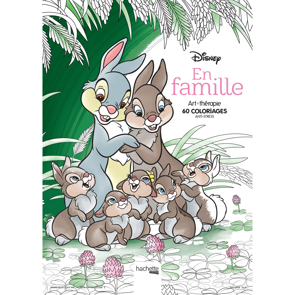 Disney En famille (Broché)