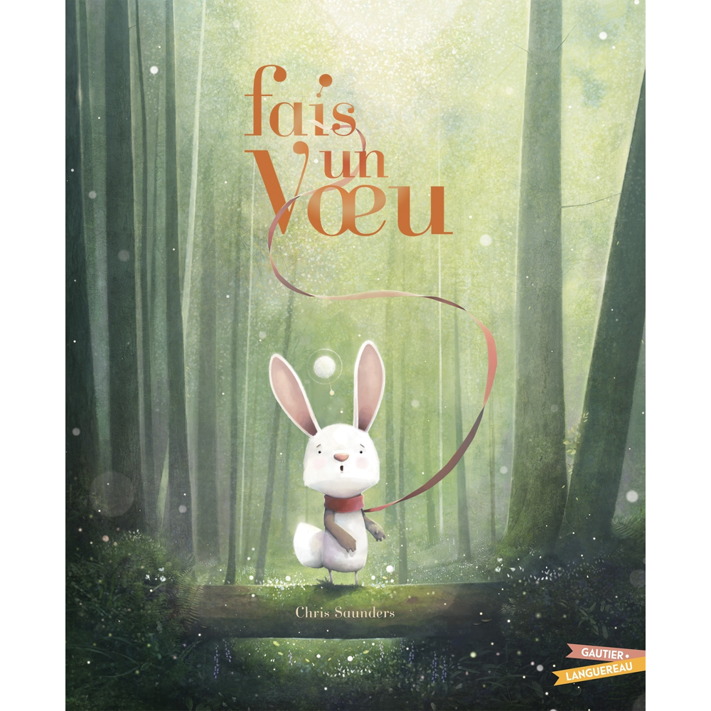 Fais un voeu (Jeunesse)