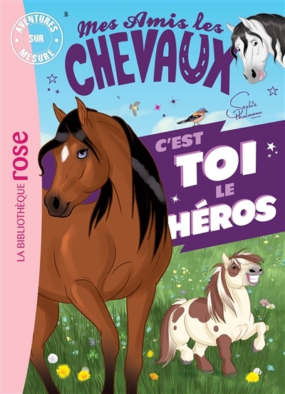 Mes amis les chevaux - Aventures sur mesure XXL (Poche)