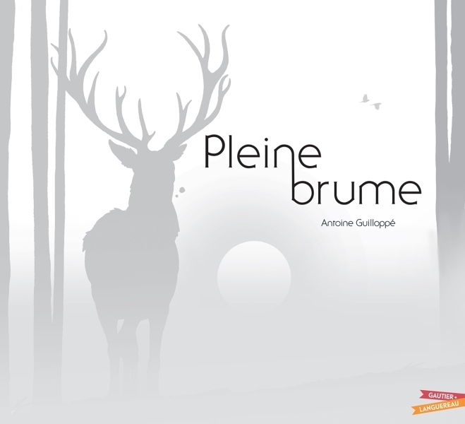 Pleine Brume (Jeunesse)