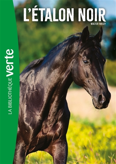 L'Étalon Noir 01 NED - L'Étalon Noir (Poche)