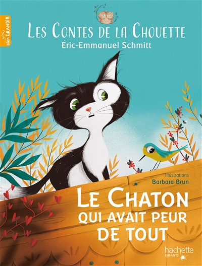 Les Contes de la Chouette - Le Chaton qui avait peur de tout (Jeunesse)