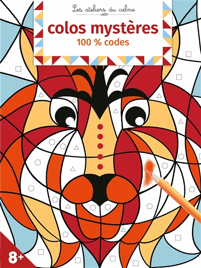Colos mystères 100 % codes (Broché)