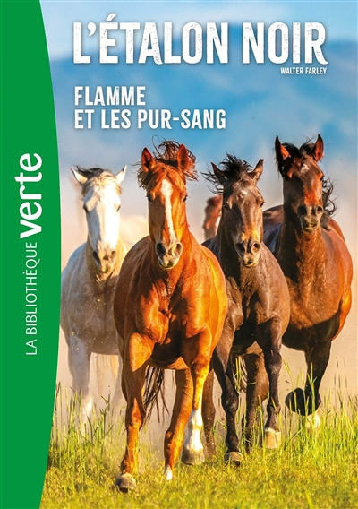 L'Etalon Noir NED 11 - Flamme et les pur-sang (Poche)