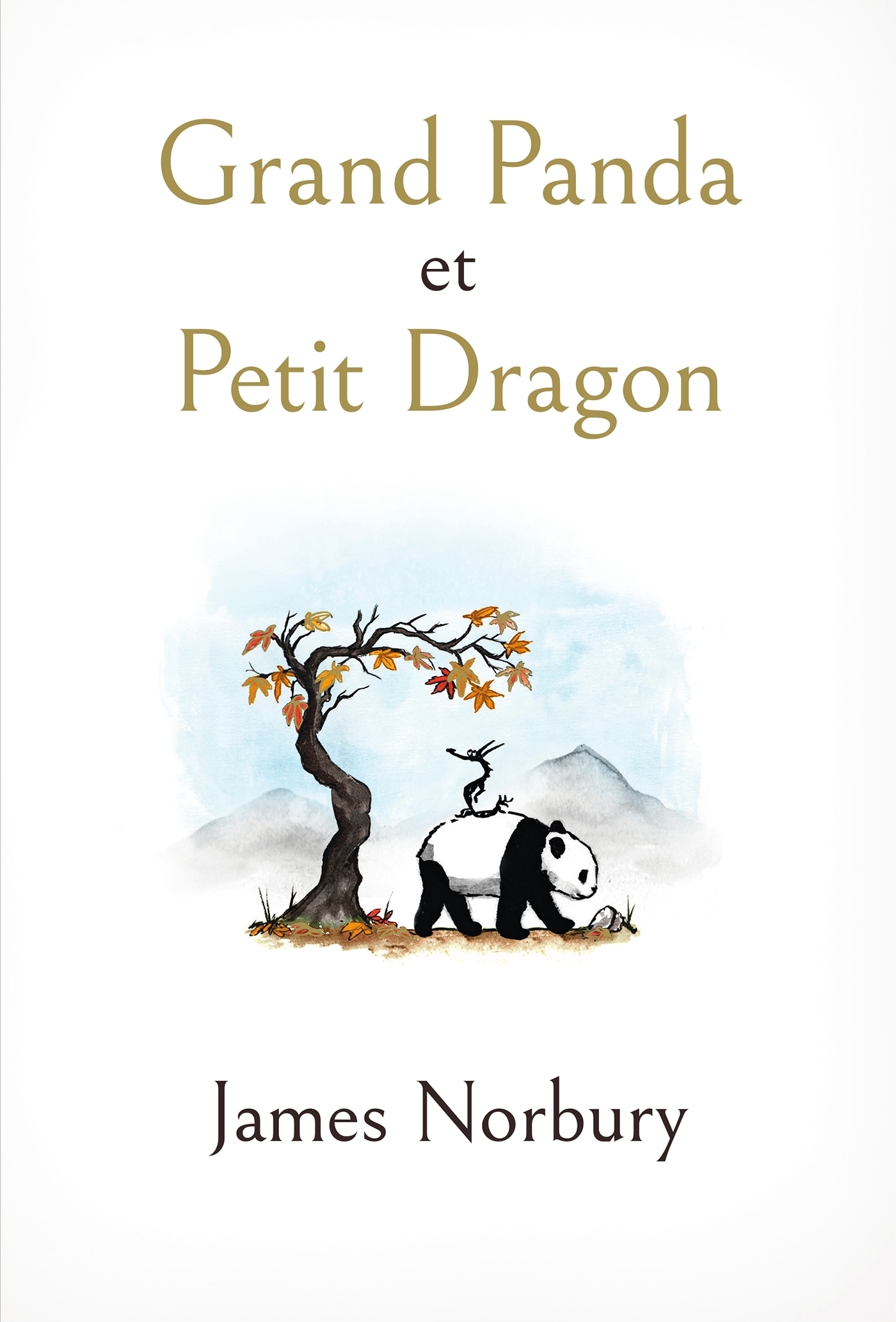 Grand Panda et Petit Dragon (Jeunesse)
