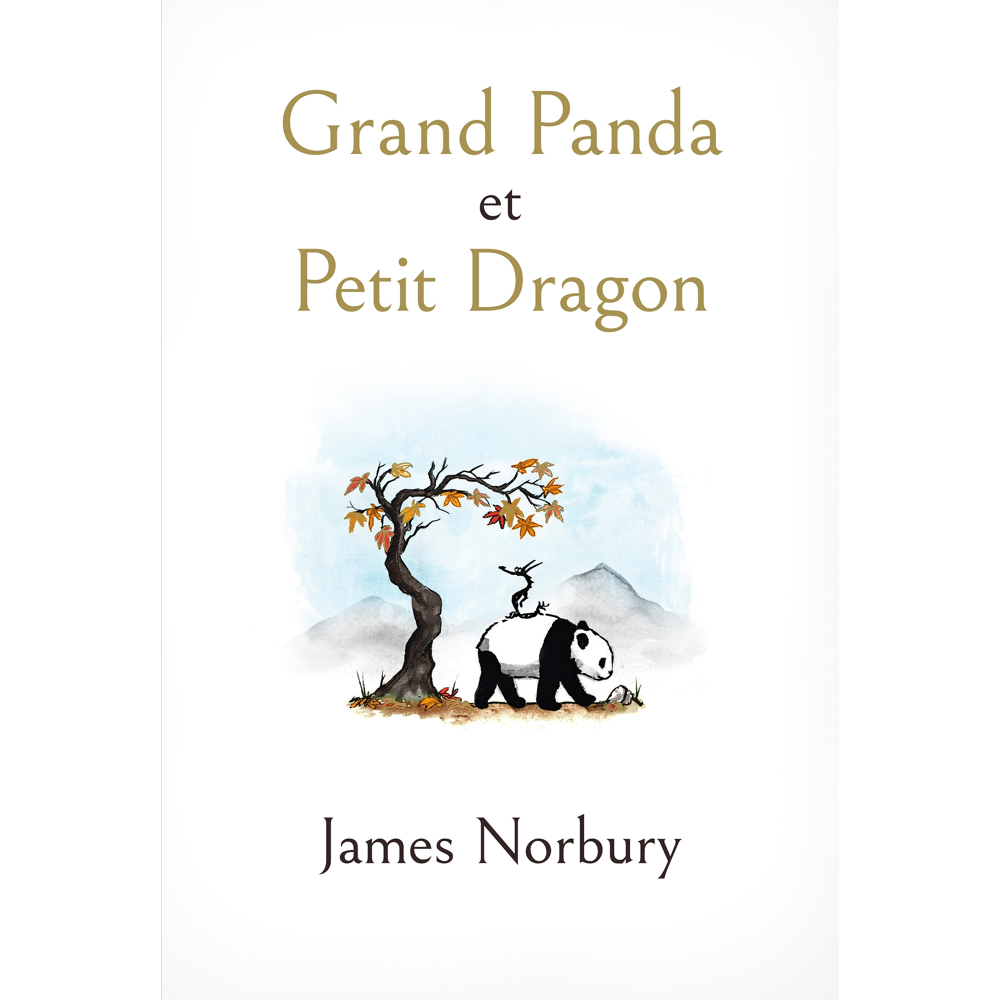 Grand Panda et Petit Dragon (Jeunesse)