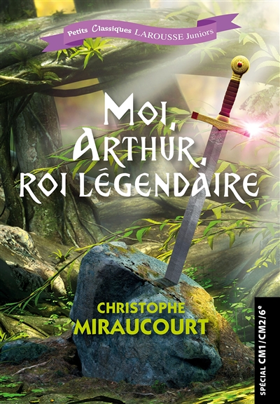 Moi, Arthur, roi légendaire (Broché)