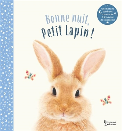 Bonne nuit petit lapin (Jeunesse)