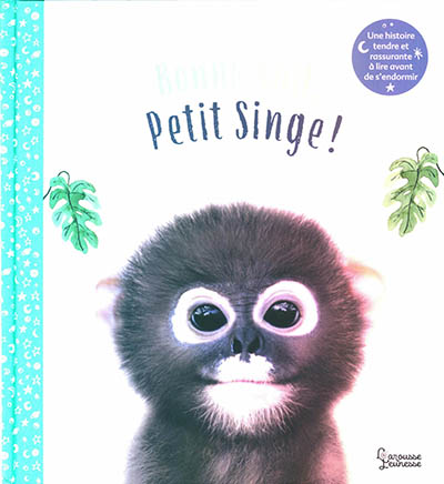 Bonne nuit petit singe (Jeunesse)