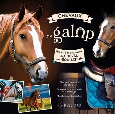 Chevaux au galop (Jeunesse)