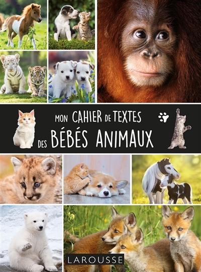 Mon cahier de textes des bébés animaux : cahier de textes (Jeunesse)