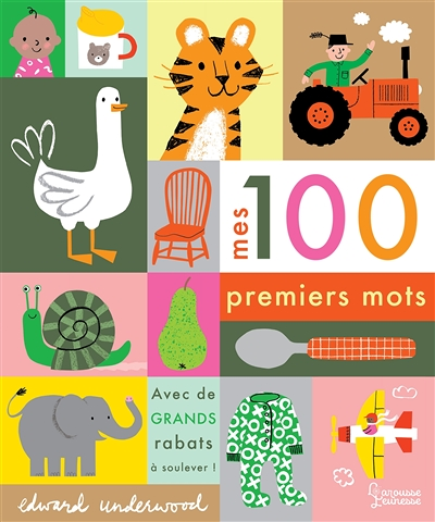 Mes 100 premiers mots (Cartonné)