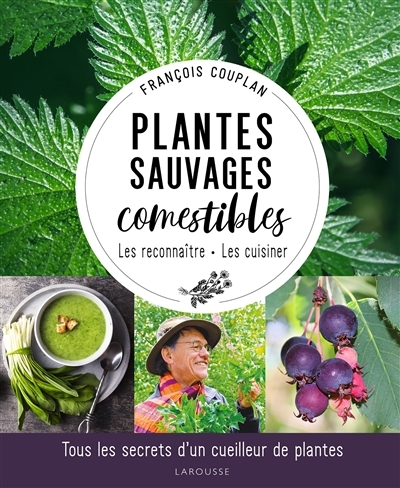 Plantes sauvages comestibles - Tous les secrets d'un cueilleur de plantes (Broché)