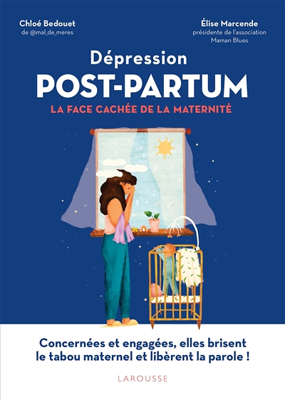 Dépression Post-Partum : la face cachée de la maternité (Broché)