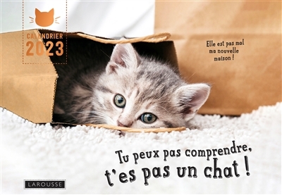Calendrier Tu peux pas comprendre t'es pas un chat (Broché)