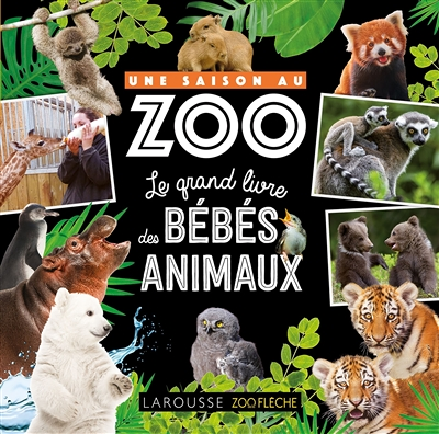 Une saison au zoo Le grand livre des bébés animaux (Broché)